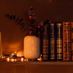 Comment éclairer une bibliothèque : une étagère avec des livres anciens, un cadre photo, une plante décorative et des guirlandes lumineuses créent une ambiance chaleureuse.