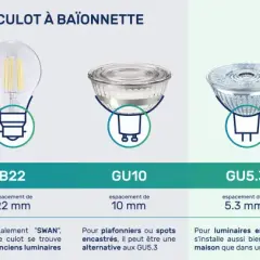 Différents types de culots d'ampoule : E14, E27, B22, GU10, GU5.3, G4, G9.