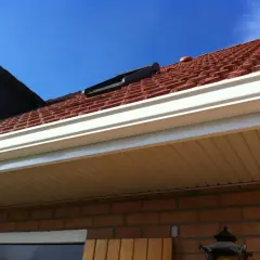 Le toit de tuiles rouges, la gouttière blanche et le ciel bleu. On dirait qu'un moineau cherche un spot cache à distance.