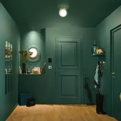 Une entrée chic et moderne avec des murs vert forêt, un miroir soleil, des sacs de shopping et une touche de plume de paon pour une deco entree élégante.