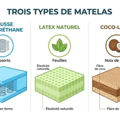 Illustration comparant trois types de matelas : mousse polyuréthane à ressorts, latex naturel à feuilles, et coco-latex à fibre de coco.