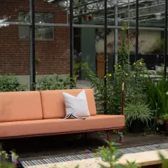 Un canapé décoloré par le soleil, entouré de verdure luxuriante dans une serre. Une coussin blanc repose sur le siège.