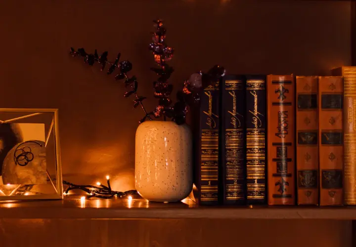 Comment éclairer une bibliothèque : une étagère avec des livres anciens, un cadre photo, une plante décorative et des guirlandes lumineuses créent une ambiance chaleureuse.