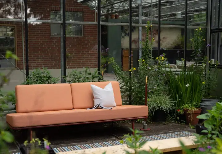 Un canapé décoloré par le soleil, entouré de verdure luxuriante dans une serre. Une coussin blanc repose sur le siège.