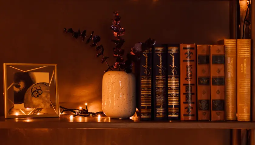 Comment éclairer une bibliothèque : une étagère avec des livres anciens, un cadre photo, une plante décorative et des guirlandes lumineuses créent une ambiance chaleureuse.
