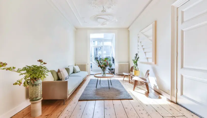 Un salon lumineux avec un canapé clair, des plantes et une grande fenêtre. Idéal pour savoir comment rendre une pièce plus lumineuse.