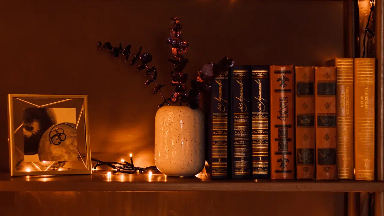 Comment éclairer une bibliothèque : une étagère avec des livres anciens, un cadre photo, une plante décorative et des guirlandes lumineuses créent une ambiance chaleureuse.