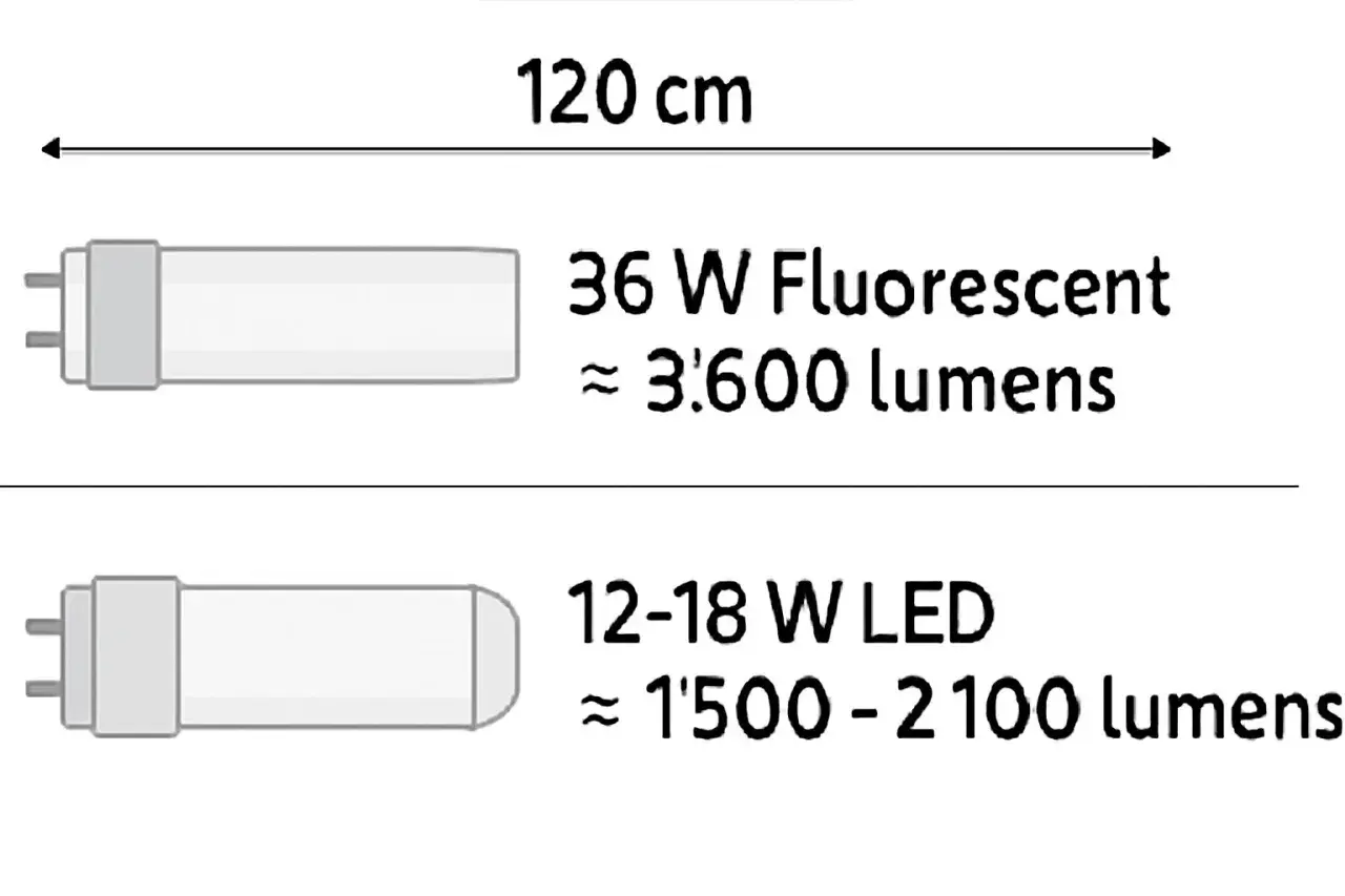 Comparaison de la consommation d'un tube néon 120 cm (36W, 3600 lumens) et d'un tube LED (12-18W, 1500-2100 lumens).